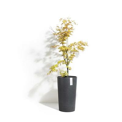 EcoPot Amsterdam Medium High Grey D 30cm X H 50cm Windlestone