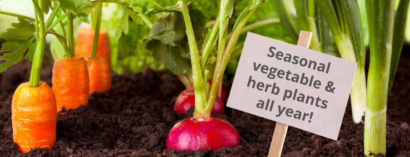 Veg top quality