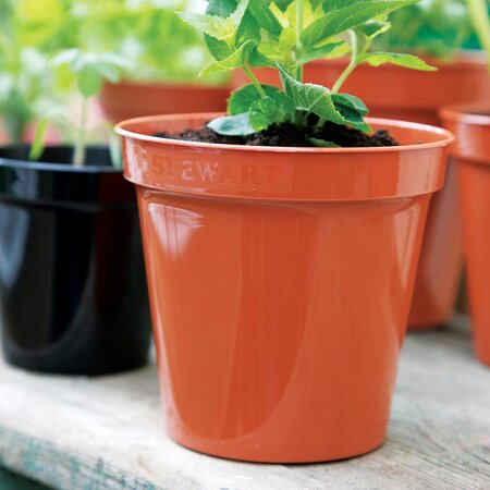 20.3cm (8") Flower Pots