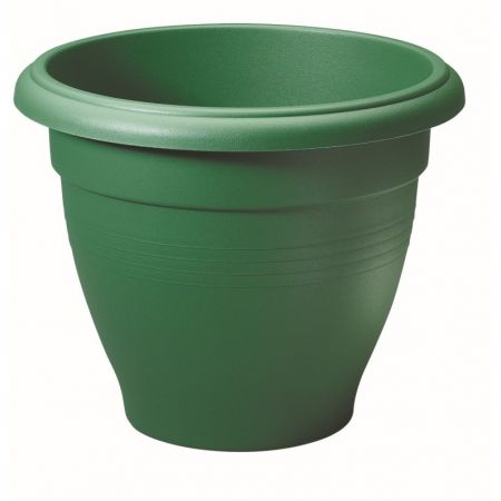 Palladian - 50cm - Green