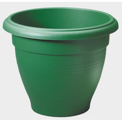 Palladian - 65cm - Green