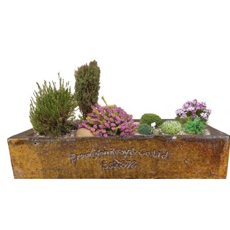 Alpine Planter - Old Leather - Medium