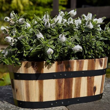 Applewood Trough Planter - Single troughs