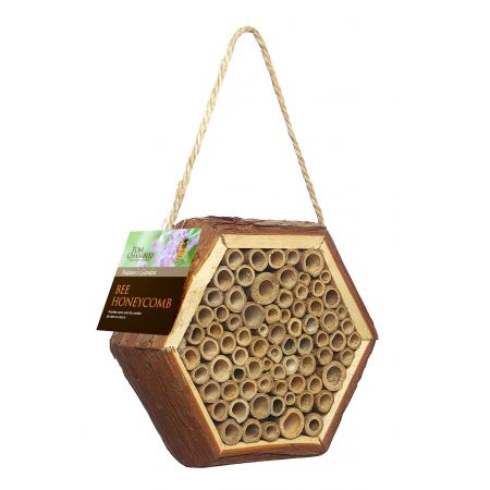 Bee Honeycomb