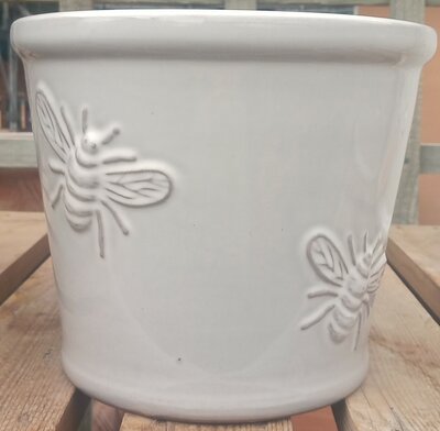 Cream Bee Pot - 19cm Cream Pot with Cream Bees