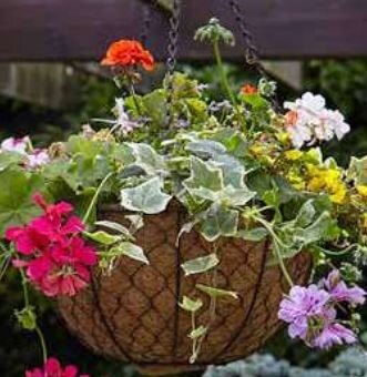 Decorative Hanging Basket - 30cm dia.