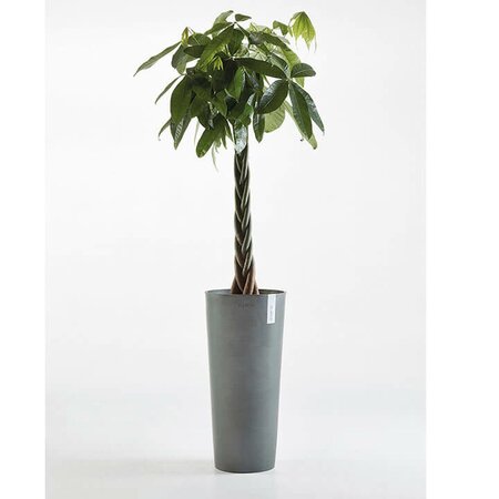 EcoPot - Amsterdam High - Grey - D 32cm x H 70cm