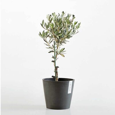 EcoPot - Amsterdam - Black - D 30cm x H 26cm