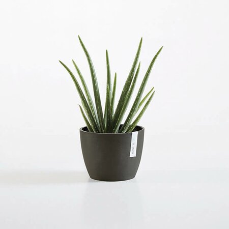 EcoPot - Stockholm - Black - D 16cm x H 12.5cm