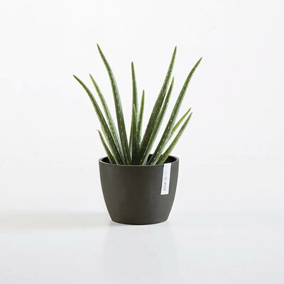 EcoPot - Stockholm - Black - D 16cm x H 12.5cm