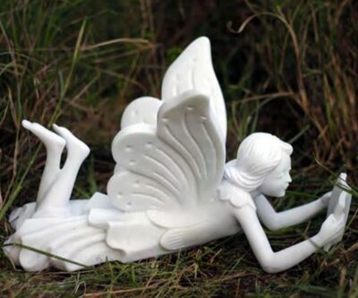 Fairy Lying Reading