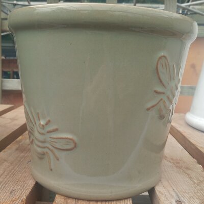 Green Bee Pot - 19cm Green Pot with Green Bees