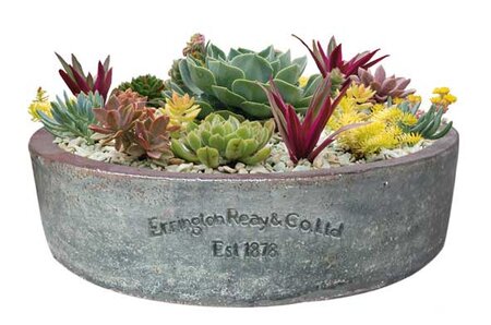 Low Round Planter - Stone - Large