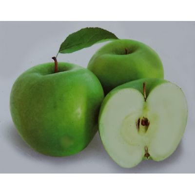 Malus Domestica Granny Smith Dwarf  (Apple Tree)