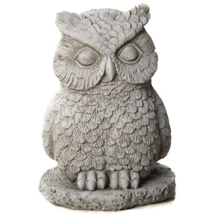 Medium Owl