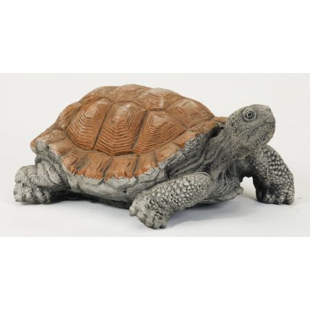 Medium Tortoise