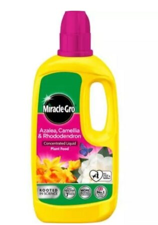 Miracle-Gro Azalea, Camellia, Rhododendron Concentrated Plant Food Liquid - 800ml