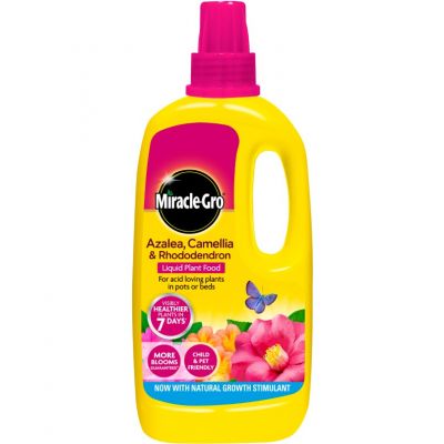 Miracle-Gro Azalea, Camellia & Rhododendron Plant Food Liquid - 1L