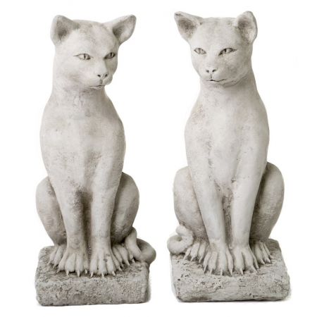 Pair Standing Cats