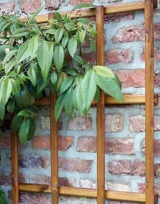 Prestige Wooden Trellis - 180cm x 60cm