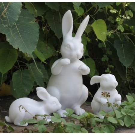 Rabbit, Lying down, Small, White