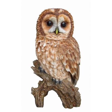 Real Life Tawny Owl - Windlestone Nursery & Garden Centre in Ferryhill ...