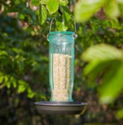 Recycled Glass Seed Feeder