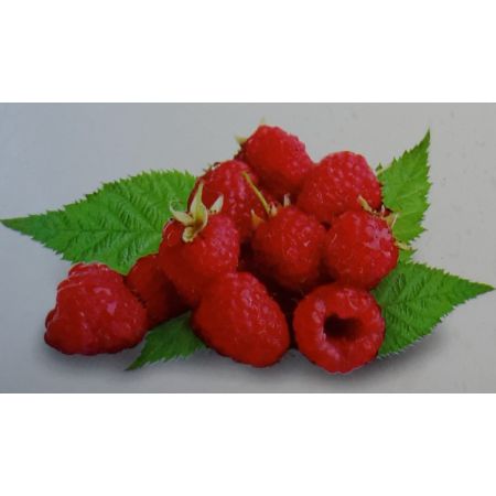 Rubus Idaeus Malling Promise 2L (Raspberry)