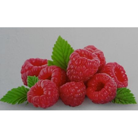 Rubus Idaeus Meeker 2L (Raspberry)