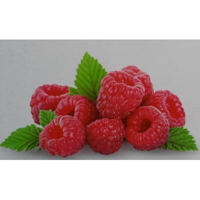 Rubus Idaeus Meeker 2L (Raspberry)