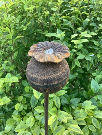 Rusty Plant Stake -Poppy (Large)