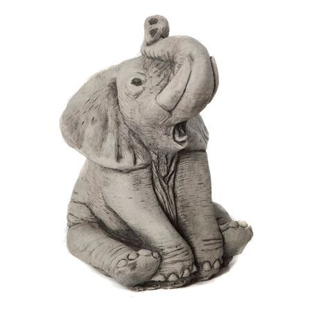 Small Elephant Trunk Up