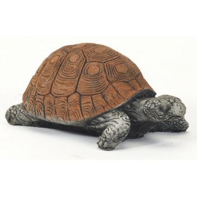 Small Tortoise