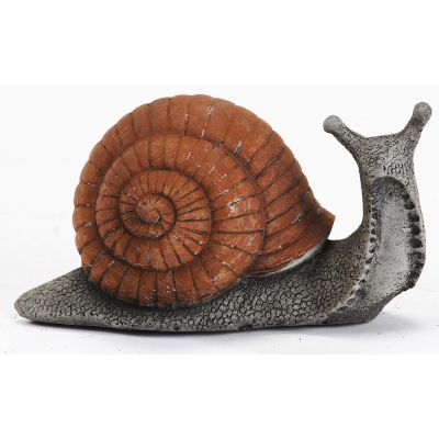 Snail