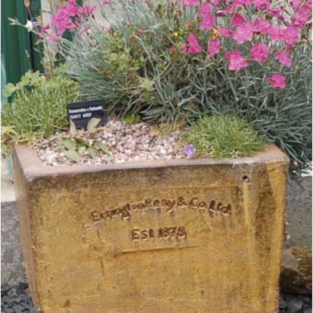 Square Planter - Old Leather - Small