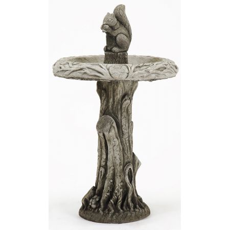 Squirrel Bird Bath