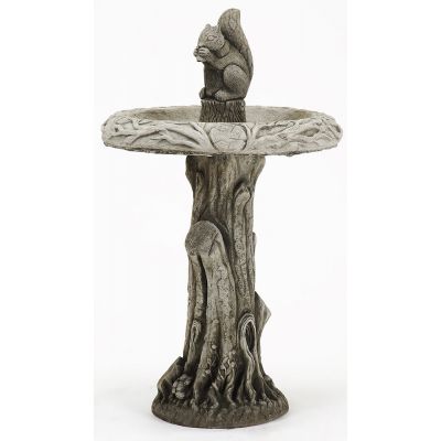 Squirrel Bird Bath