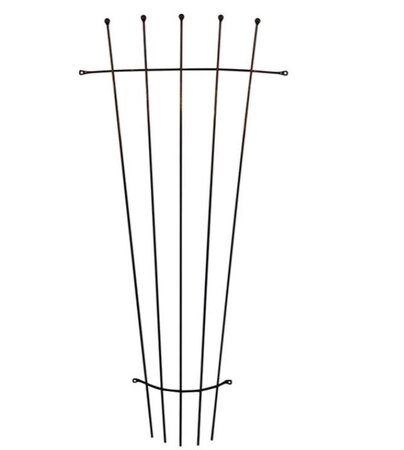 Trellis - Fan - 4ft/122cm