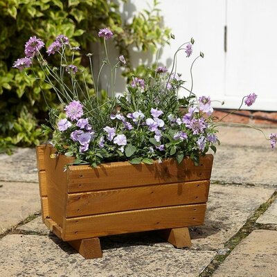 Wisley trough planter