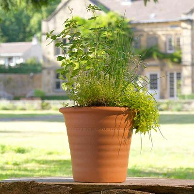 Yorkshire Flower Pot - Ribbed Pot - Medium - 37cm tall