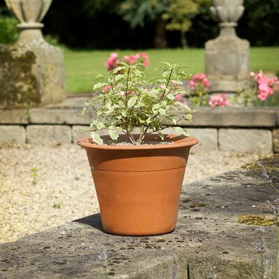 Yorkshire Flower Pot - Small Harrogate - 26,5cm tall