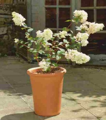 Yorkshire Flower Pot - Tall Flowerpot - 40cm tall - image 1